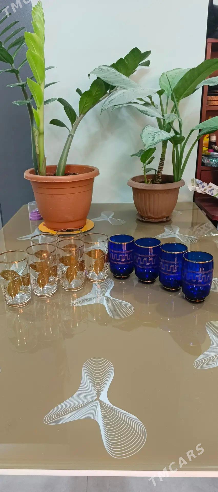 ФУЖЕРЫ - Aşgabat - img 4