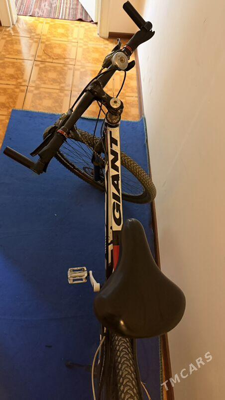 Tigir GIANT - 1 mkr - img 1