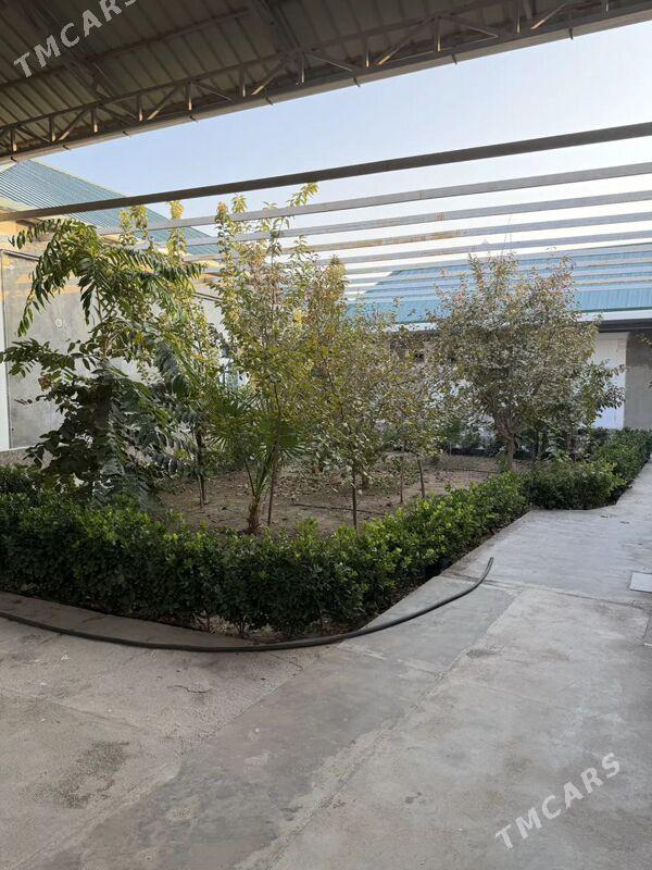 Herikgala - Херрикгала - img 7