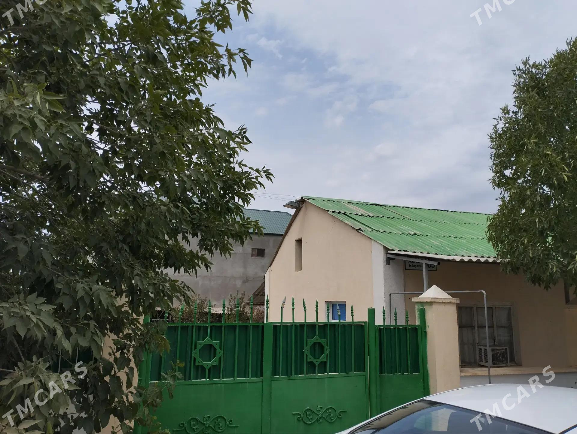 Satlyk jay - Анев - img 1