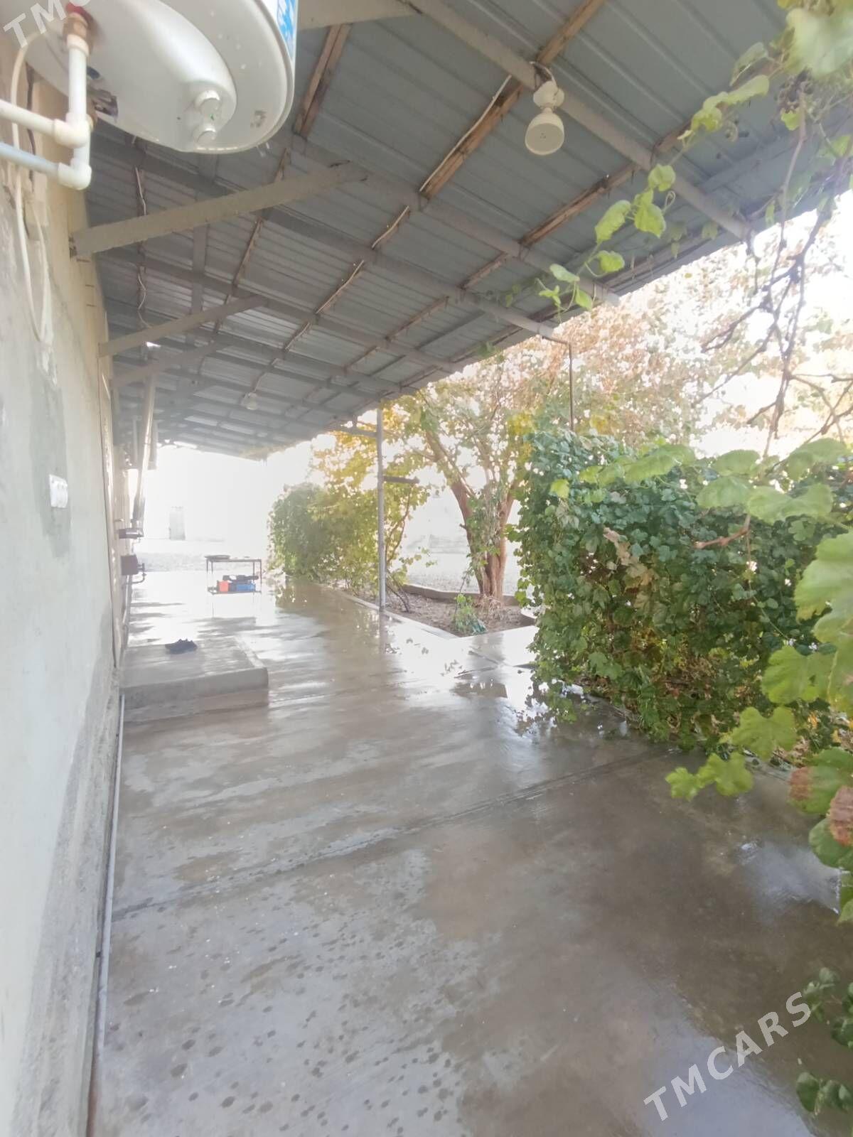 Satlyk Biznes Ucin Howly Sklat - Bedew - img 1