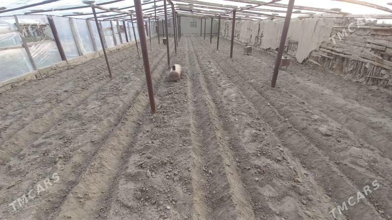 Tiplisa arenda - Гёкдепе - img 1