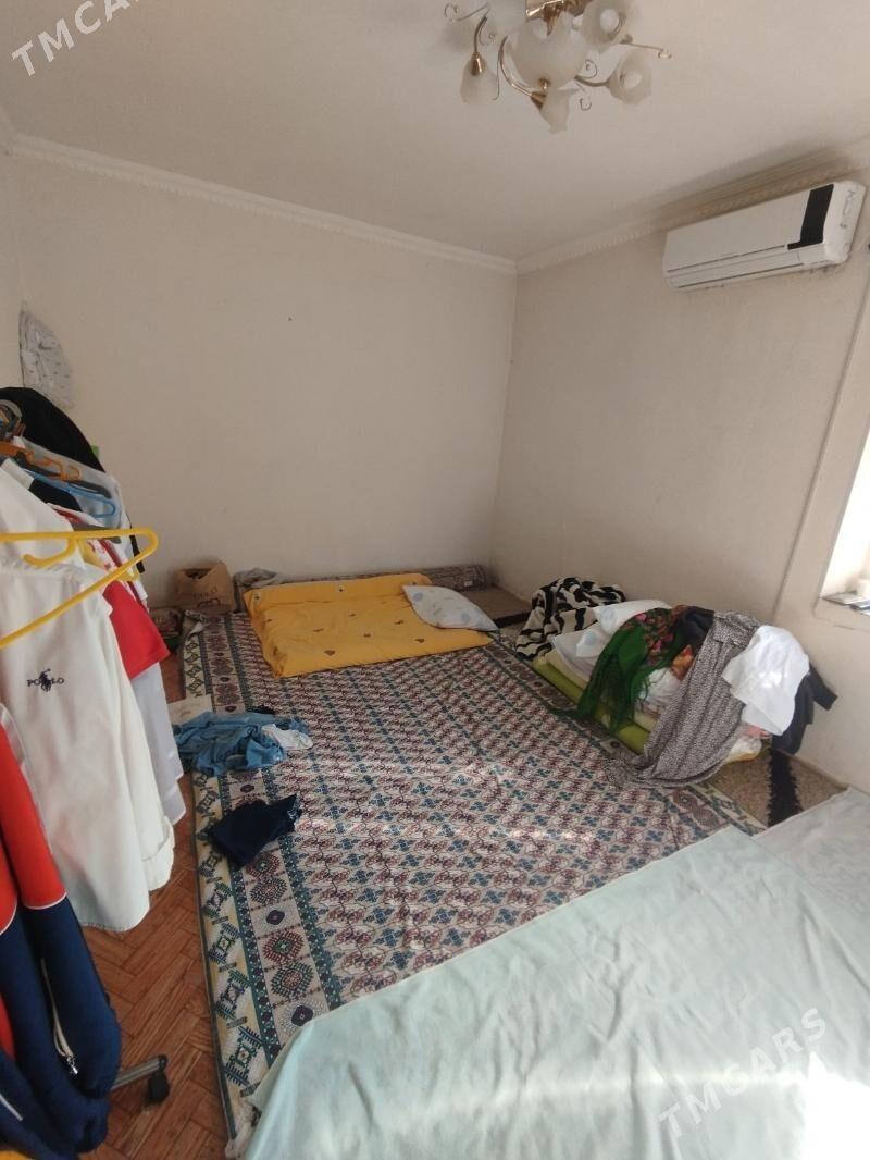 Satlyk jay - Mary - img 1