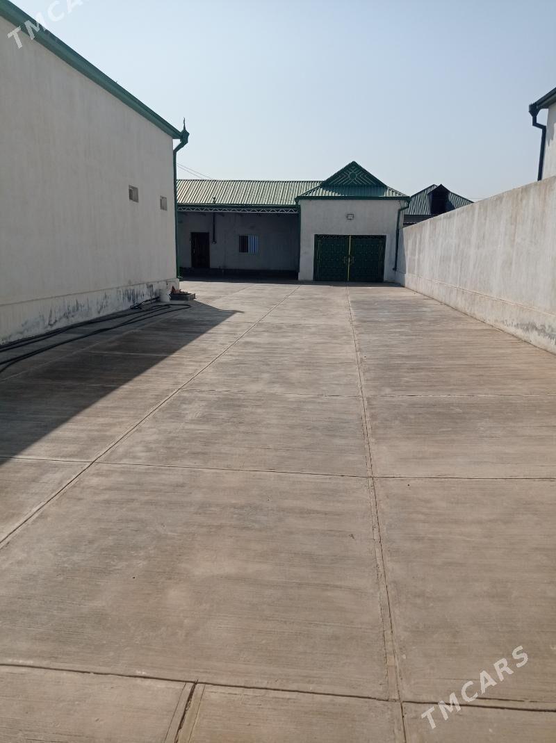 Änew plan jay satlyk - Анев - img 8