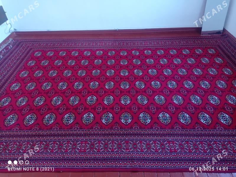 Haly - Türkmenbaşy - img 1