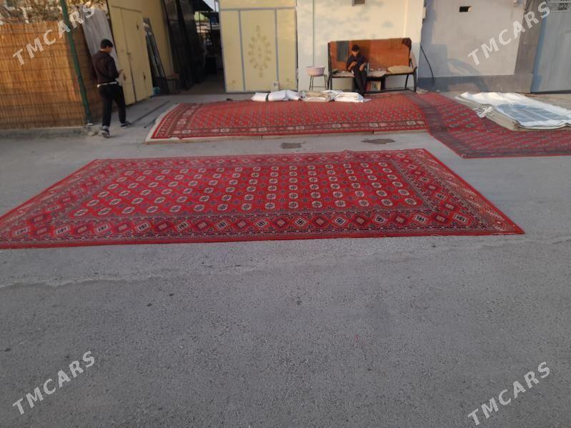 HALY - Şor daça - img 2