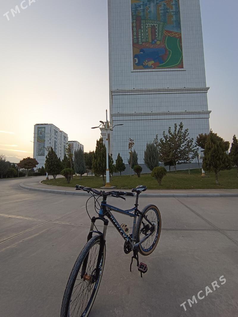 Tigir - 30 мкр - img 2