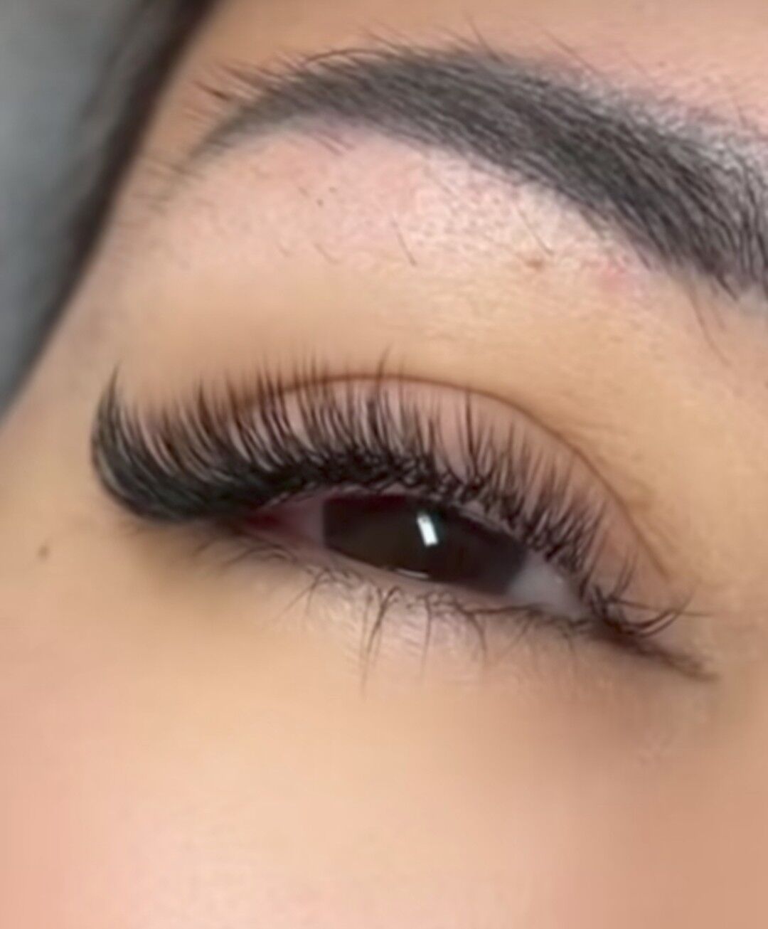 Aksiýa 2026.ý. Kirpik ; wosk - Howdan "A" - img 1