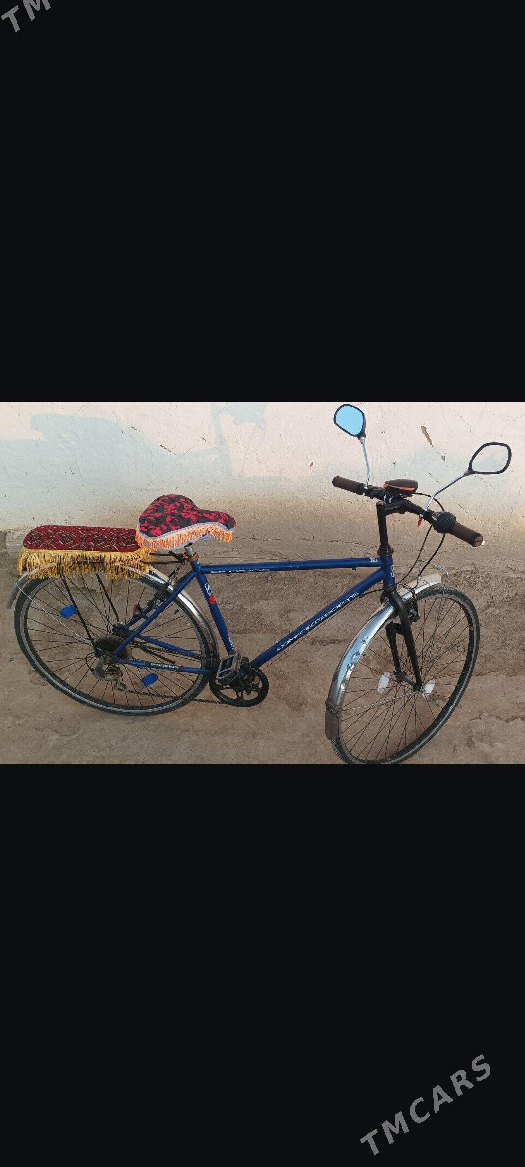 welosipet - Sakarçäge - img 3