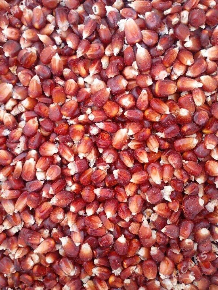 Mekge mebil - Огуз хан - img 2