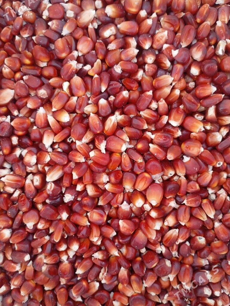 Mekge mebil - Огуз хан - img 3