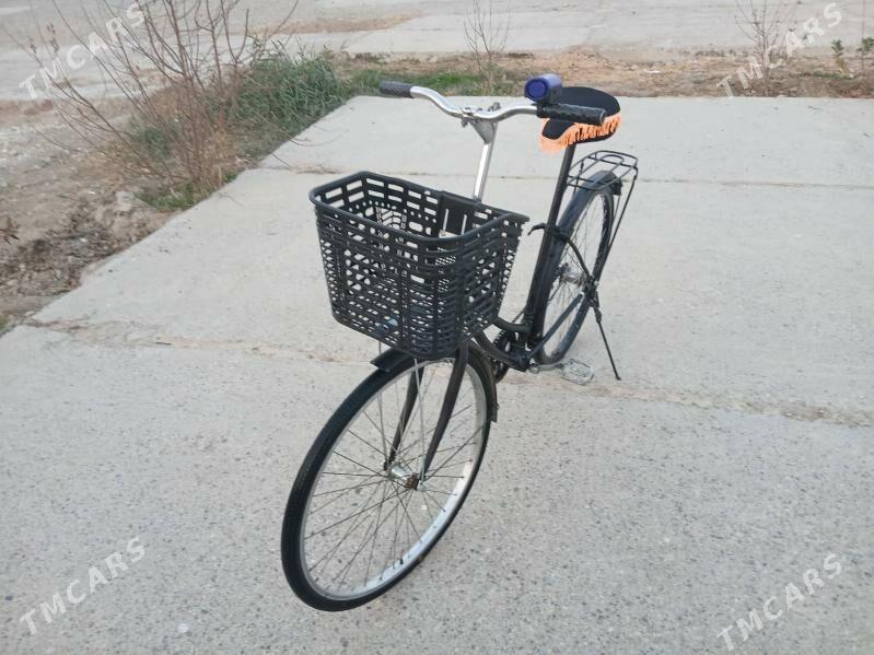 Ýapon tigir - Кëши - img 3