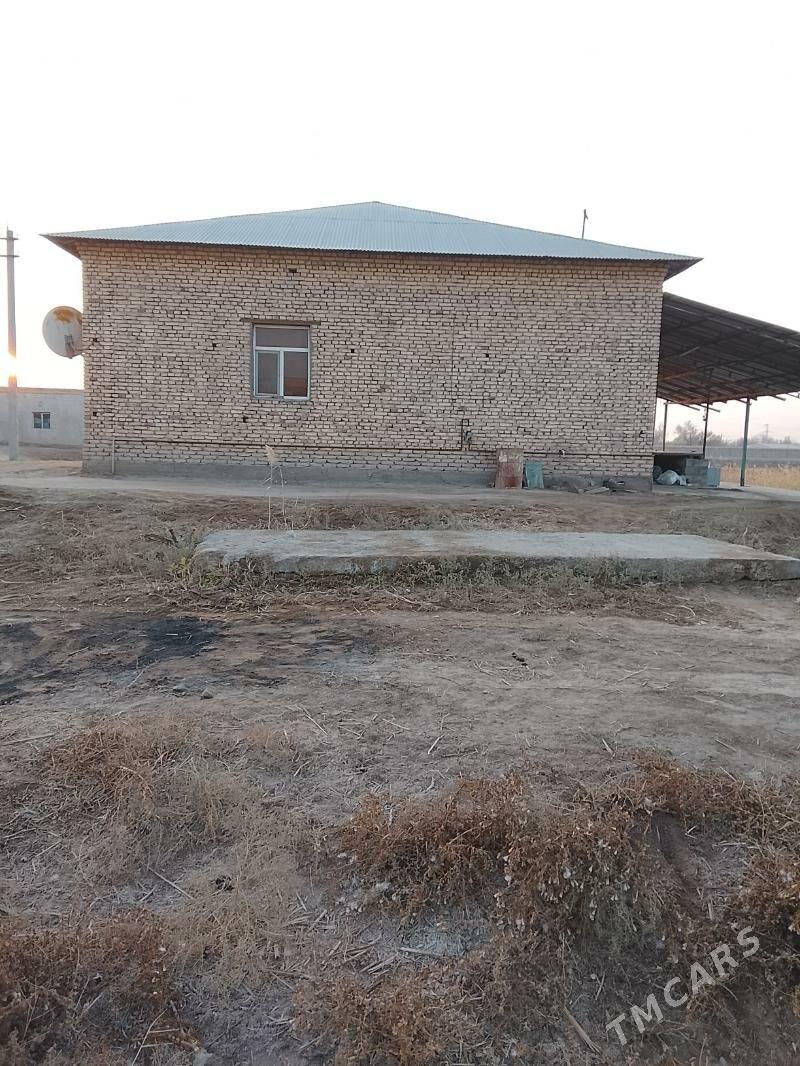 Satlyk jay - Шабатский этрап - img 3