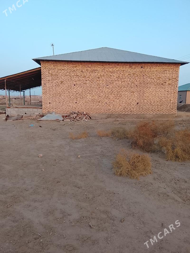 Satlyk jay - Шабатский этрап - img 4