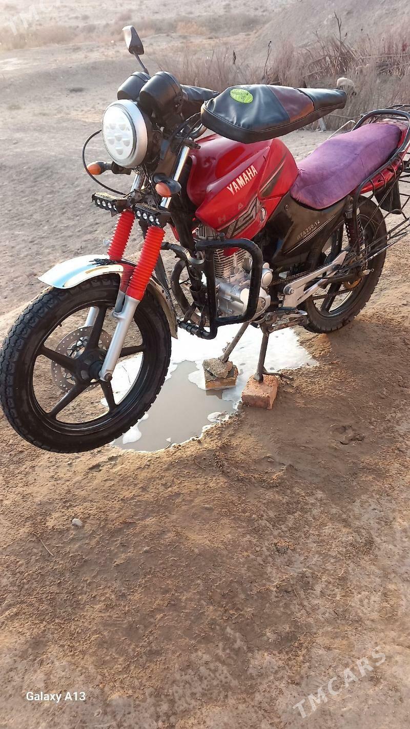 Fekon FK200-14G 2025 - 16 000 TMT - Sakarçäge - img 4