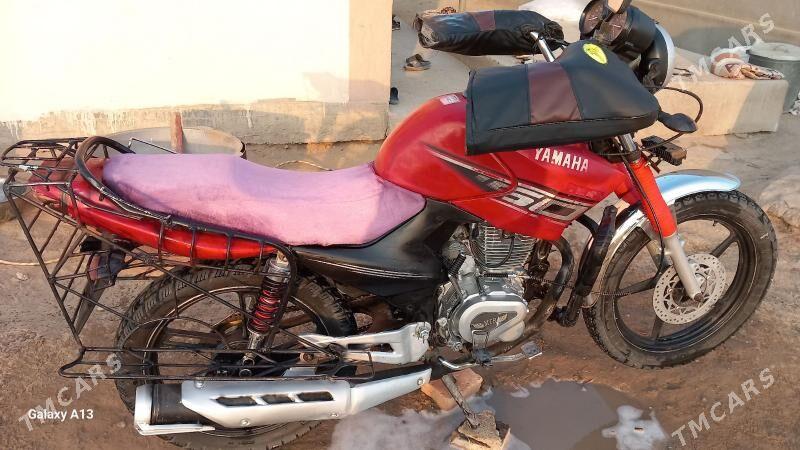 Fekon FK200-14G 2025 - 16 000 TMT - Sakarçäge - img 5