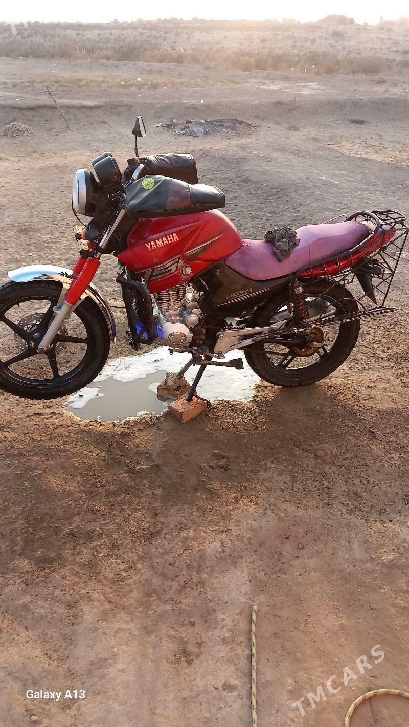 Fekon FK200-14G 2025 - 16 000 TMT - Sakarçäge - img 8