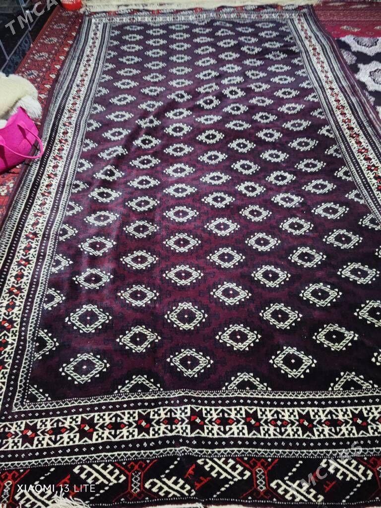 El haly - Hitrowka - img 2