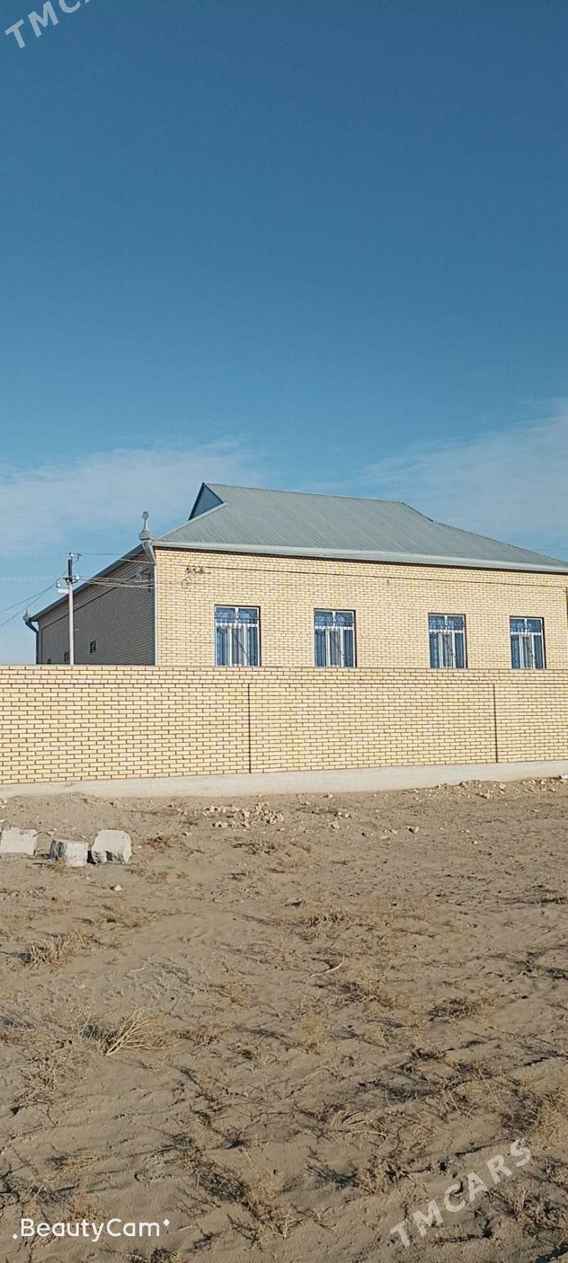 Howly jay - Mary - img 1