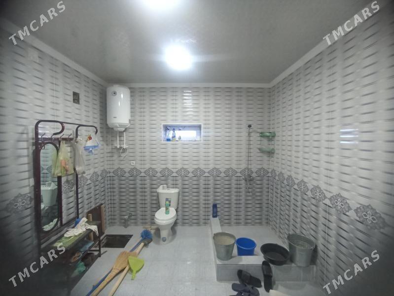 Howly jay - Mary - img 5