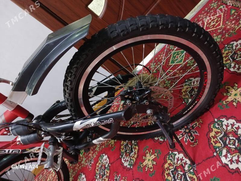 Tigir Olimpiya - 30 мкр - img 4