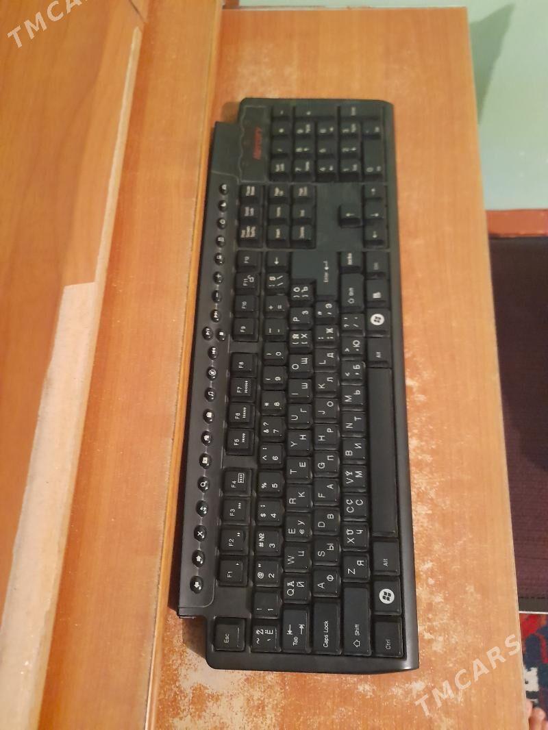 kamputur - Büzmeýin - img 1