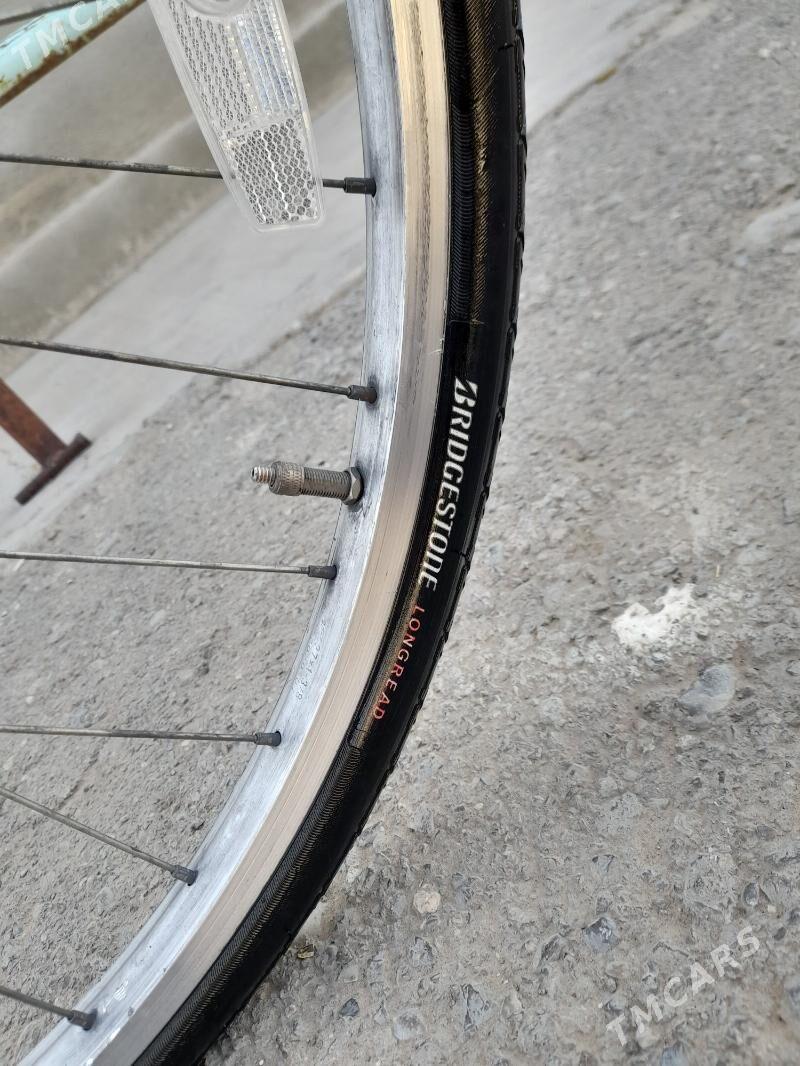 tigir - Бузмеин - img 2