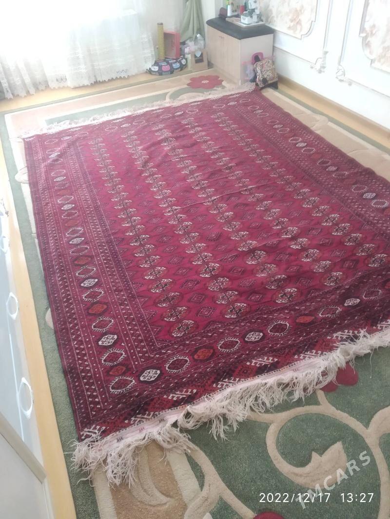 Turkmen halay - Köşi - img 2