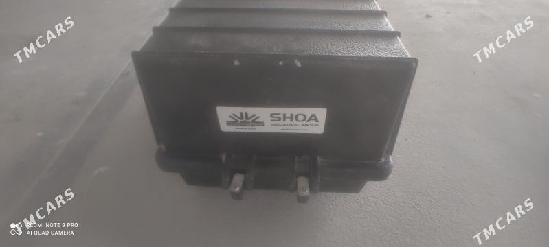 Uly Projektor - Mary - img 2