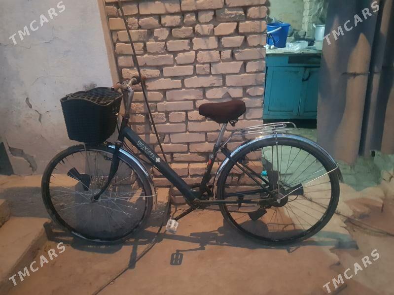 27.6s,dinamo,, - Mary - img 2