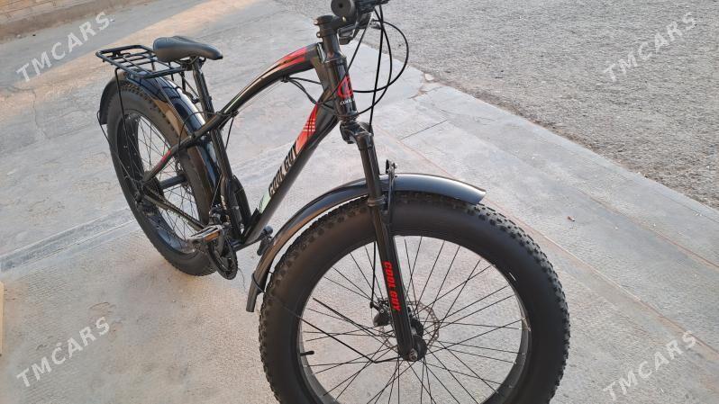 welik - Sakarçäge - img 2