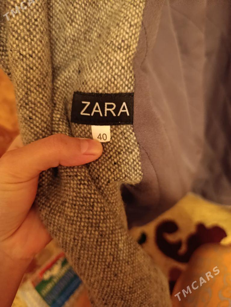 palto - Daşoguz - img 1