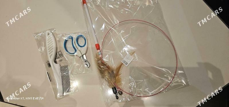 ддя котят/кошек - Ашхабад - img 2