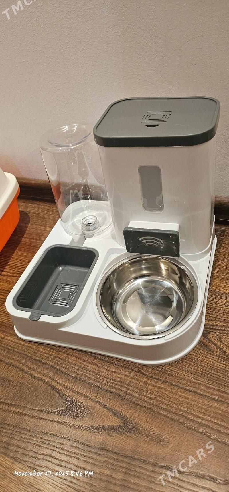 ддя котят/кошек - Ашхабад - img 1