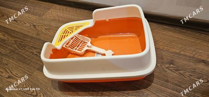 ддя котят/кошек - Ашхабад - img 3