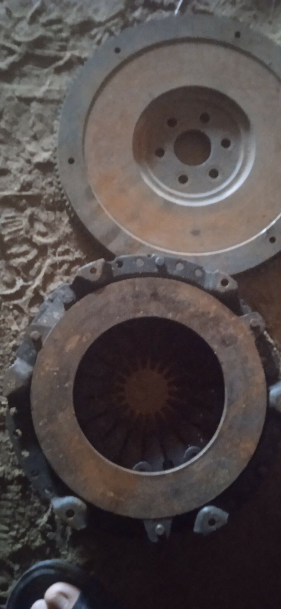 mahawik karzina 11 TMT - Şabat etr. - img 1