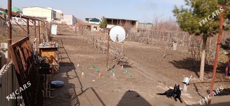 Дача аэропорт - Чарджоу - img 2