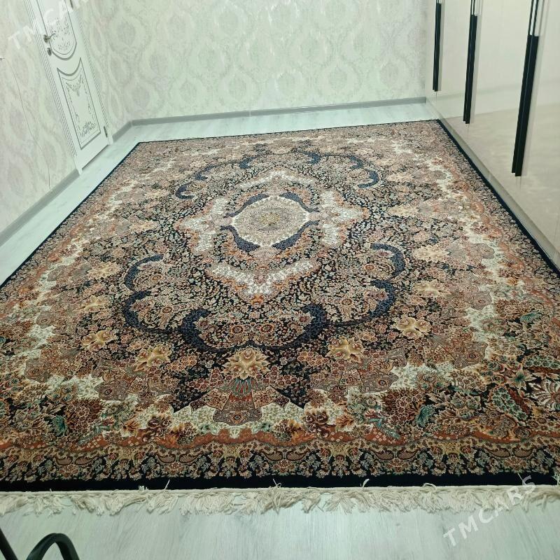 haly - Gumdag - img 2