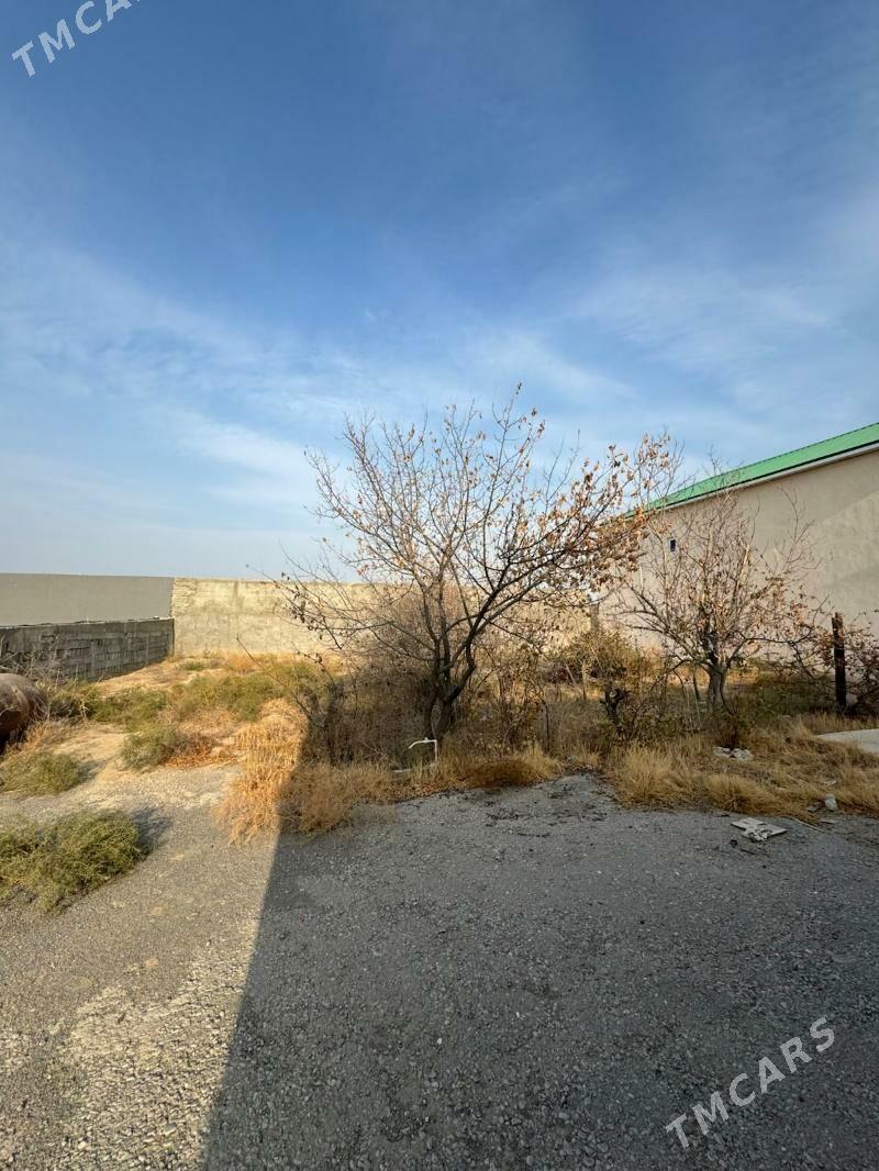 Kõşi Baý Oba - Кëши - img 1