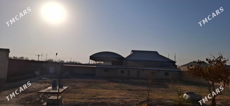 Satlyk jaý - Baýramaly - img 7