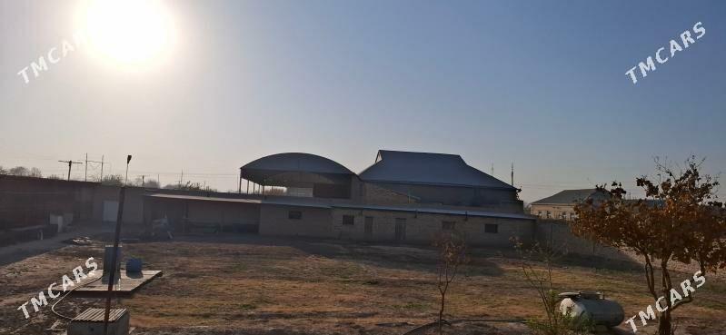 Satlyk jaý - Baýramaly - img 6