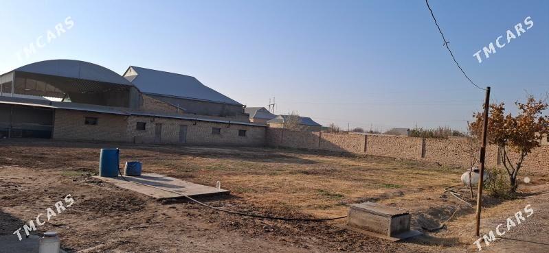 Satlyk jaý - Baýramaly - img 2