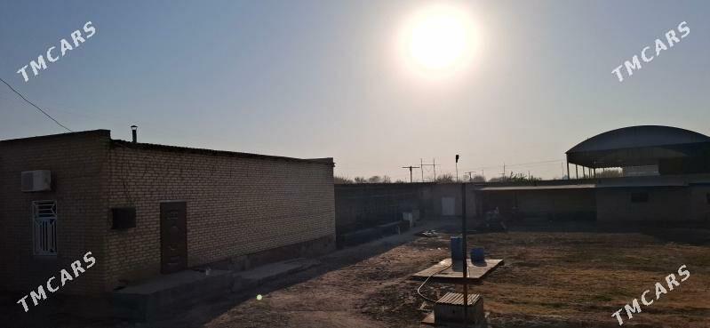 Satlyk jaý - Baýramaly - img 8