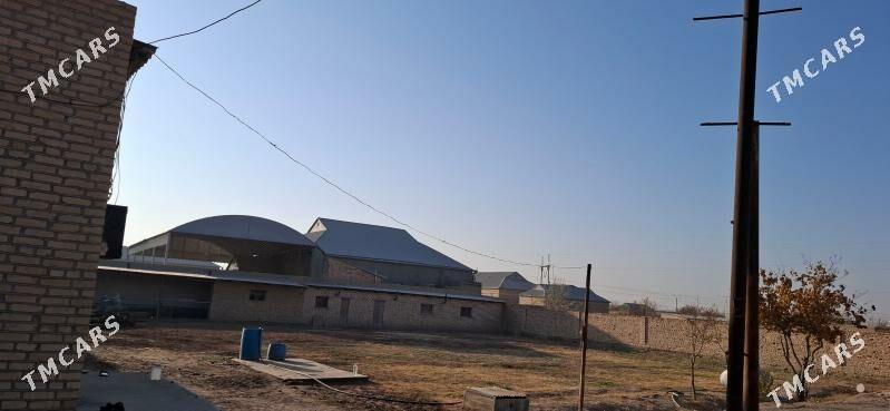 Satlyk jaý - Baýramaly - img 4