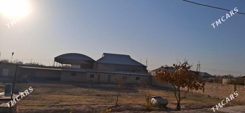 Satlyk jaý - Baýramaly - img 5