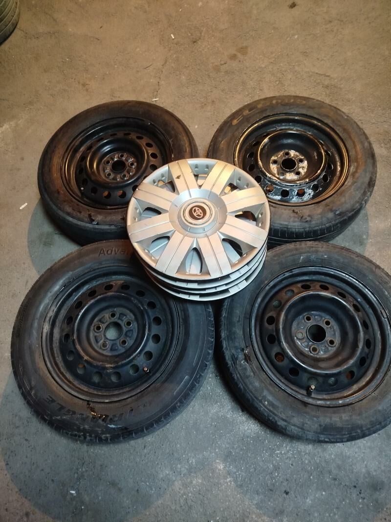 15 karolla dysga radnoy 1 250 TMT - Кипджак - img 1