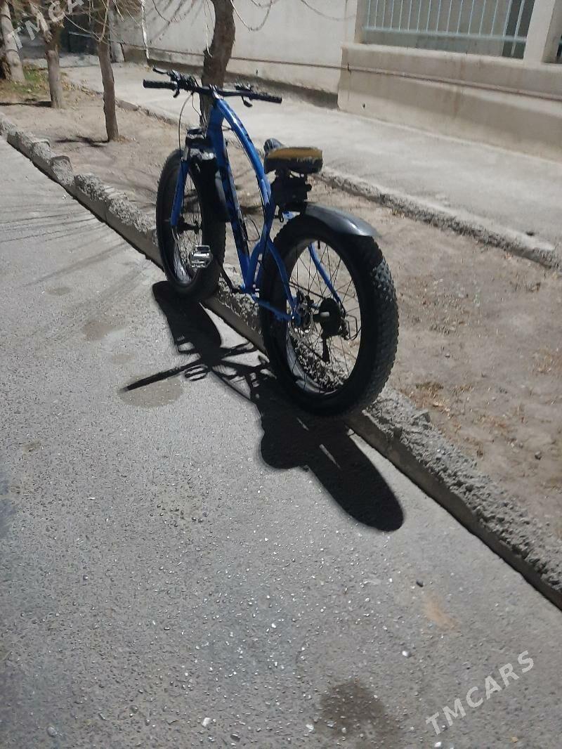 axan - Херрикгала - img 2