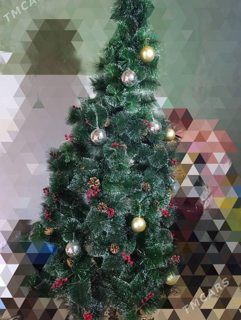 yolka - Дашогуз - img 3