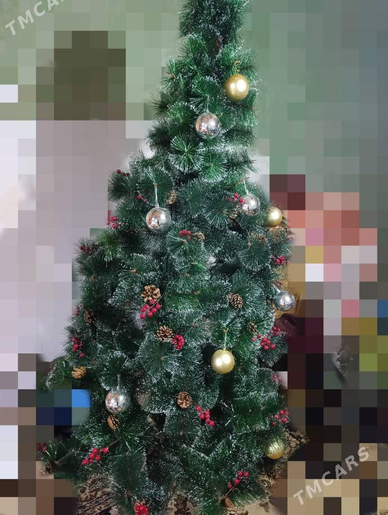 yolka - Дашогуз - img 4