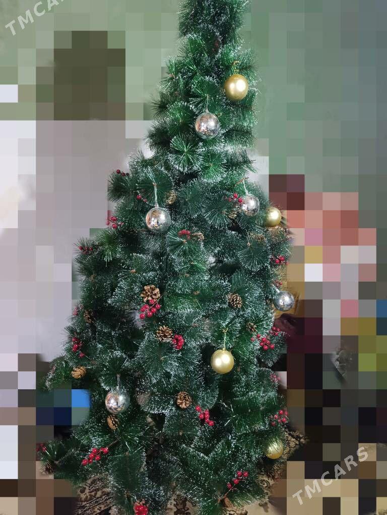 yolka - Дашогуз - img 2